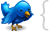 Follow me on Twitter